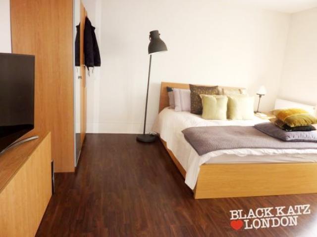 			NEW INSTRUCTION (Private Roof Terrace), Studio Apartment, 1 bath, 1 reception Flat			 Sutherland Avenue, MAIDA VALE/WARWICK AVENUE